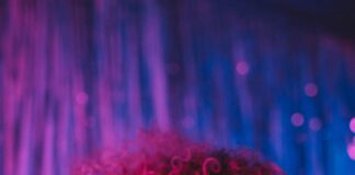 Cannabis Club Frankfurt Entdecken: Geheimtipps Für Ein Einzigartiges Erlebnis