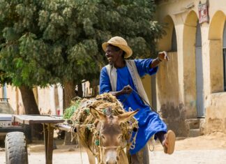 Eritrea Konsulat Frankfurt: Wie Erhält Man Schnellen Service?