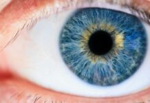 See Frankfurt: Entdecke Die Verborgenen Schätze Der Stadt!