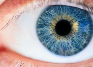 See Frankfurt: Entdecke Die Verborgenen Schätze Der Stadt!