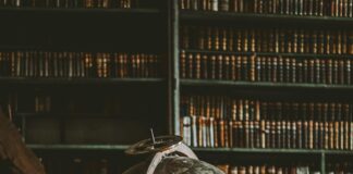 Vorlesungsverzeichnis Uni Frankfurt: Entdecke Top Kurse Jetzt!