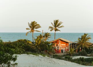 Superfly.Frankfurt Entdecken: Warum Es Ihre Neuen Lieblingsschuhe Sind