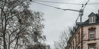 Cannabis Apotheke Frankfurt: Entdecke Die Besten Tipps Für Dich