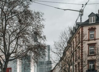 Cannabis Apotheke Frankfurt: Entdecke Die Besten Tipps Für Dich