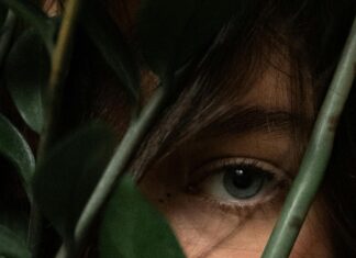 Frankfurt Elements Entdecken: Faszinierende Geheimnisse Enthüllt