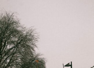 Frankfurt Gebetszeiten Entdecken: Wann Beten In Der Stadt?