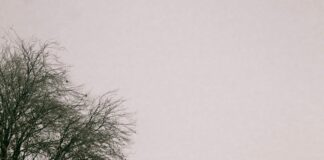 ESM Frankfurt Entdecken: Warum Diese Stadt Dein Nächstes Ziel Ist