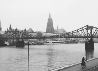 Frankfurt Platzhirsch Entdecken: Warum Er Die Stadt Beherrscht!