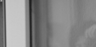 Asia Markt Frankfurt Entdecken: Geheimtipps Für Authentische Vielfalt