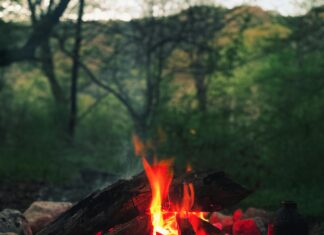 Konsulat Iran Frankfurt: Entdecke Wichtige Infos Und Tipps!