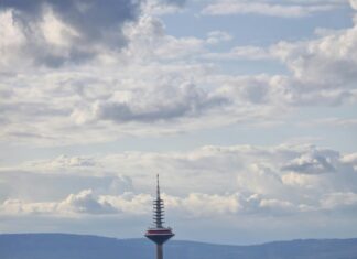 Fly Park Frankfurt Entdecken: Warum Jeder Dieses Abenteuer Lieben Wird