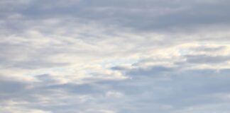 Imizu Frankfurt City Entdecken: Geheimtipps Für Ein Einzigartiges Erlebnis