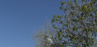 Iran Frankfurt Konsulat: Wie Sie Schnell Und Einfach Visa Beantragen