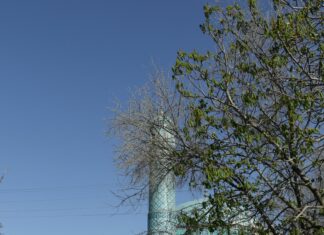 Iran Frankfurt Konsulat: Wie Sie Schnell Und Einfach Visa Beantragen