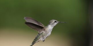 Zoom Frankfurt Parken: Wie Finden Sie Stressfrei Den Besten Platz?