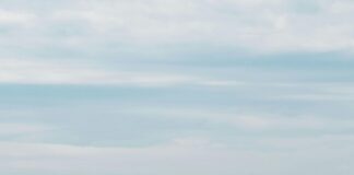 Frankfurt Abfallkalender: So Verpassen Sie Nie Mehr Die Abholung!