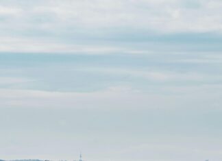 Frankfurt Abfallkalender: So Verpassen Sie Nie Mehr Die Abholung!