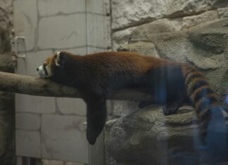 Frankfurt Park Sleep Fly: Entdecke Den Geheimtipp Für Reisende!