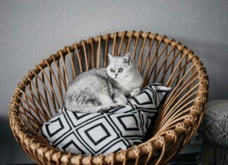 Sleep Token Frankfurt: Entdecke Das Geheimnis Hinter Dem Hype!