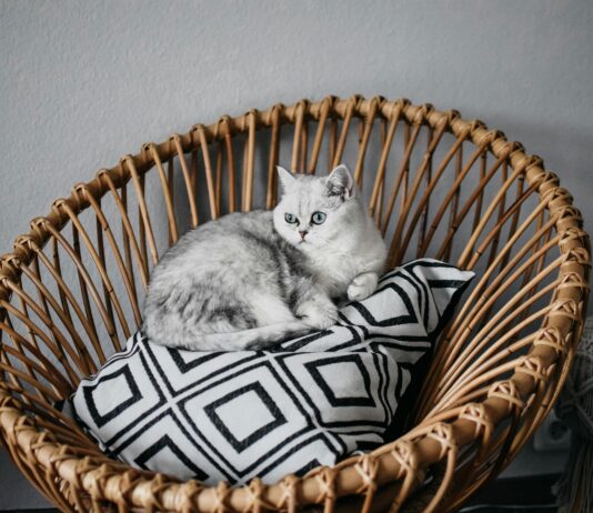 Sleep Token Frankfurt: Entdecke Das Geheimnis Hinter Dem Hype!