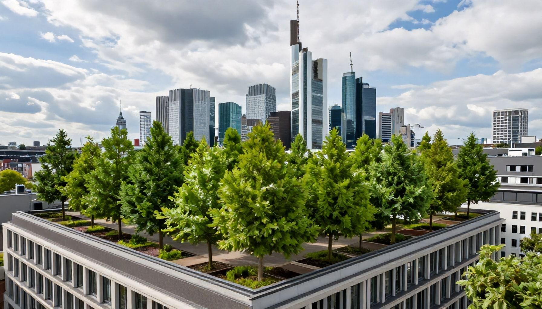 500 neue Bäume verändern das Stadtbild
