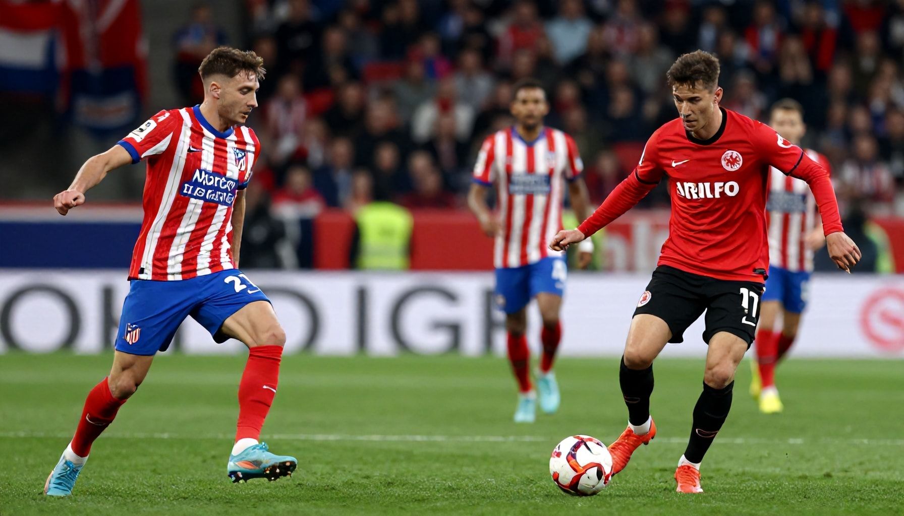 Die Teams im direkten Vergleich