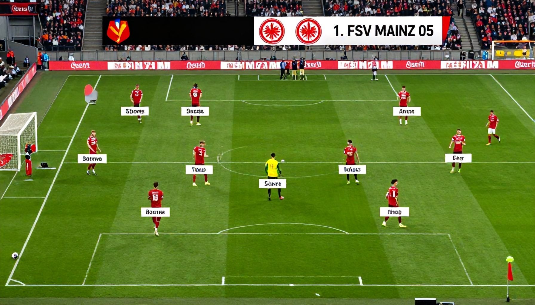 Die Teams im Überblick