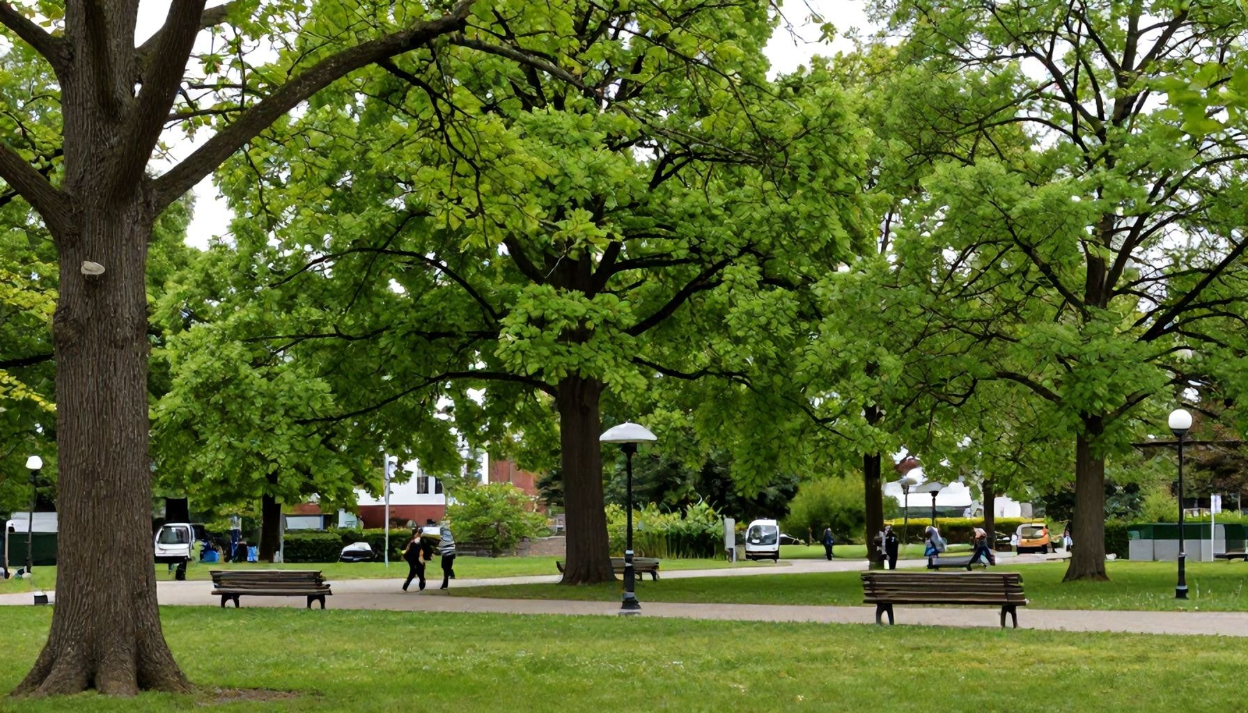 Neue Arten bereichern Frankfurts Baumbestand