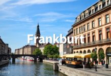 Frankfurt entdecken: Ein lebendiger Mix aus Kultur, Kulinarik und Lebensqualität Discover Frankfurt: A vibrant mix of culture, culinary delights, and quality of life